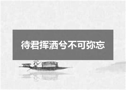 待君挥洒兮不可弥忘