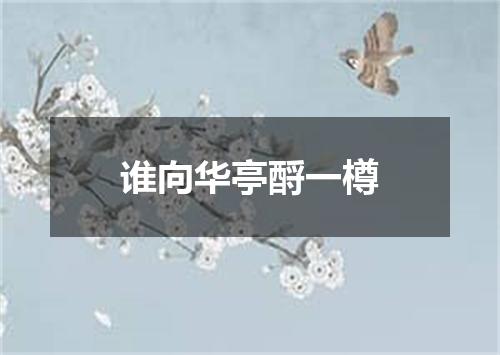 谁向华亭酹一樽