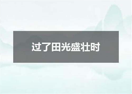 过了田光盛壮时