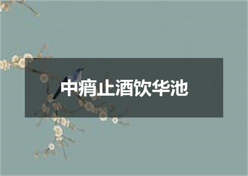 中痟止酒饮华池