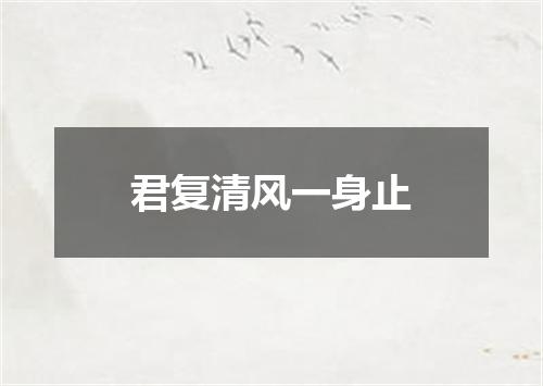 君复清风一身止