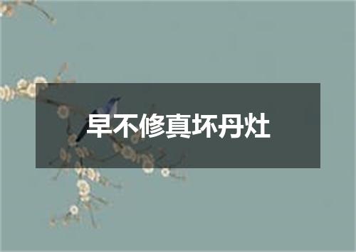 早不修真坏丹灶