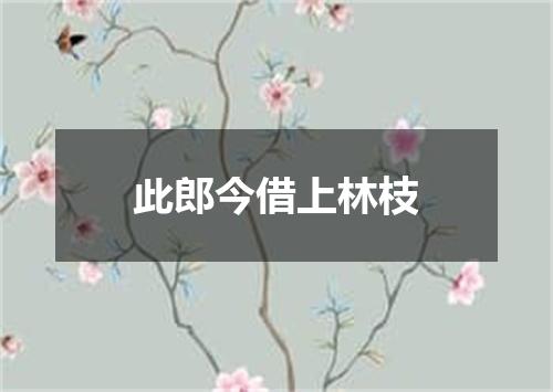 此郎今借上林枝
