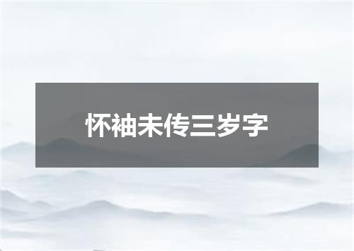 怀袖未传三岁字