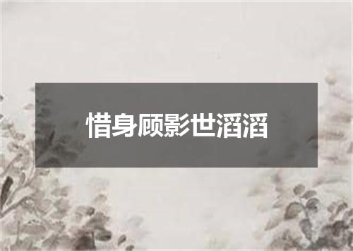 惜身顾影世滔滔