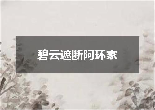 碧云遮断阿环家