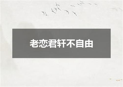 老恋君轩不自由