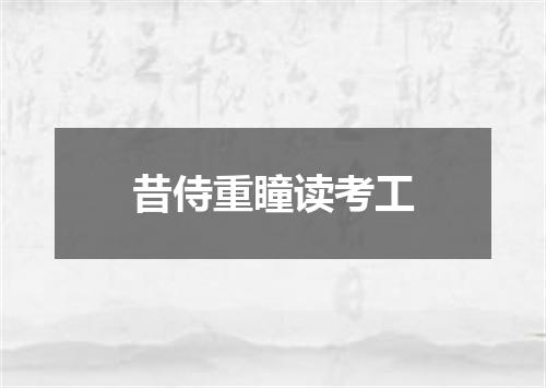 昔侍重瞳读考工