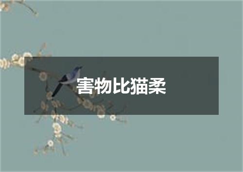 害物比猫柔
