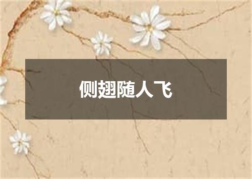侧翅随人飞