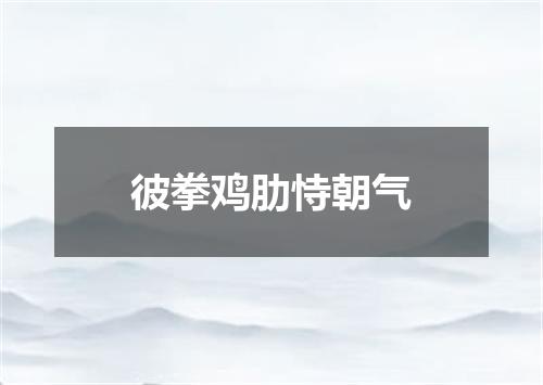 彼拳鸡肋恃朝气