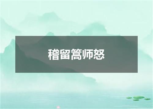 稽留篙师怒