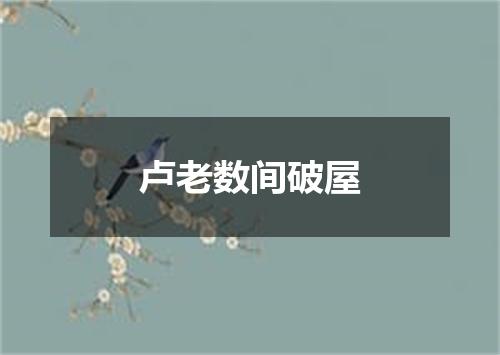 卢老数间破屋