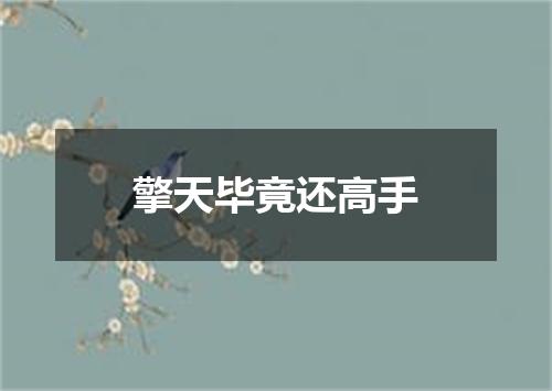 擎天毕竟还高手