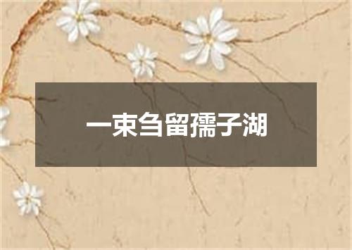 一束刍留孺子湖