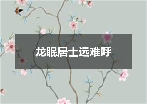 龙眠居士远难呼