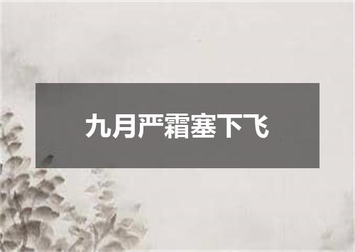 九月严霜塞下飞