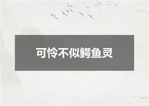 可怜不似鳄鱼灵
