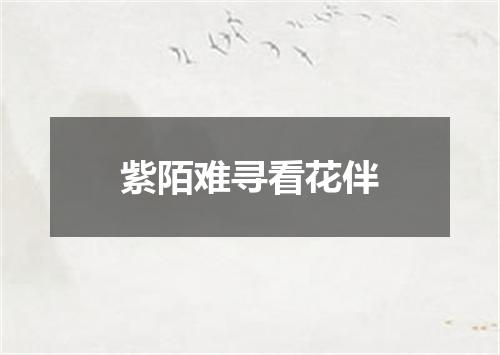 紫陌难寻看花伴