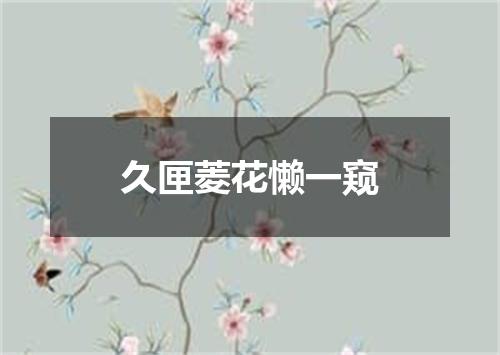 久匣菱花懒一窥