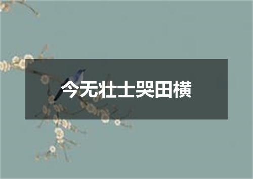 今无壮士哭田横