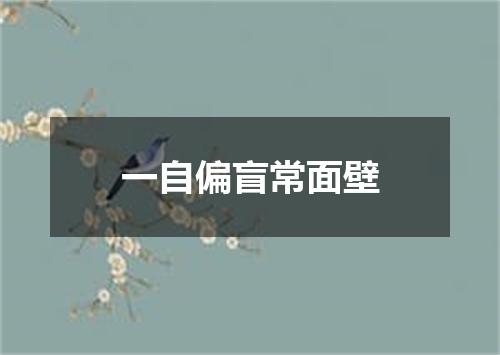 一自偏盲常面壁