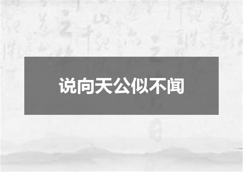 说向天公似不闻