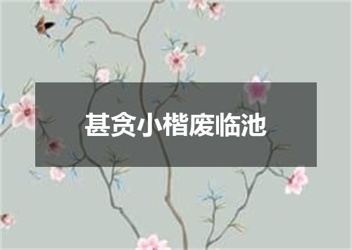 甚贪小楷废临池