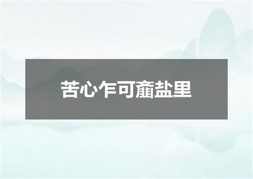 苦心乍可齑盐里