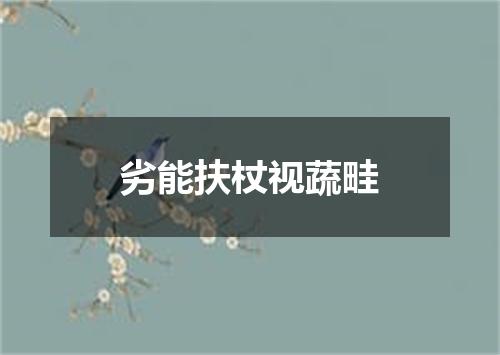 劣能扶杖视蔬畦