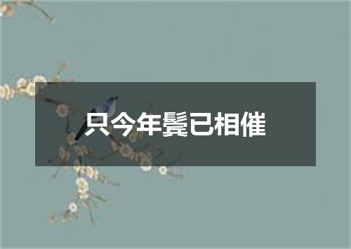 只今年鬓已相催