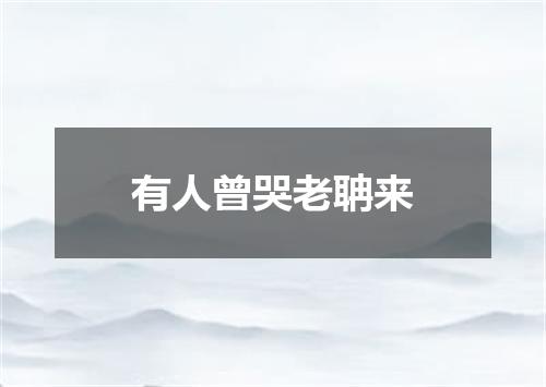 有人曾哭老聃来