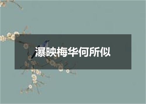 瀑映梅华何所似