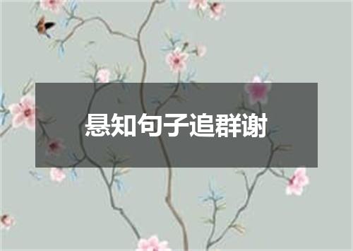 悬知句子追群谢