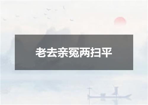 老去亲冤两扫平