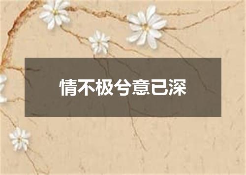 情不极兮意已深
