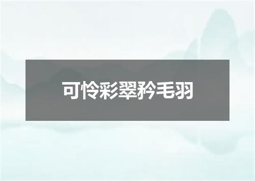 可怜彩翠矜毛羽