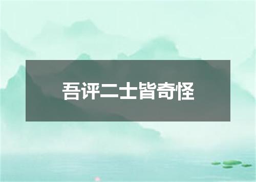 吾评二士皆奇怪