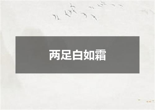 两足白如霜