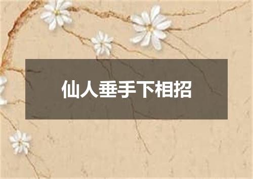 仙人垂手下相招