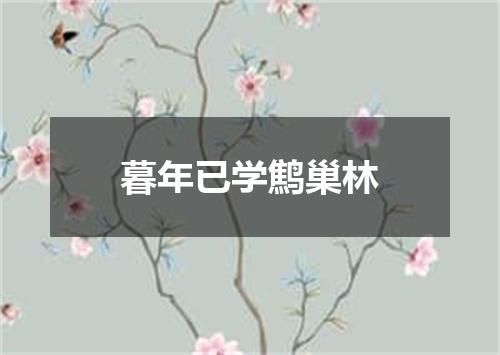 暮年已学鹪巢林