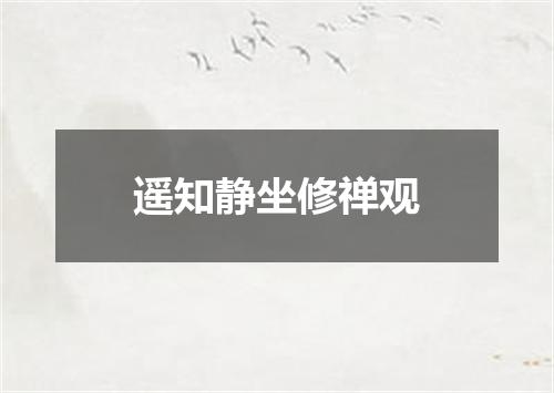 遥知静坐修禅观