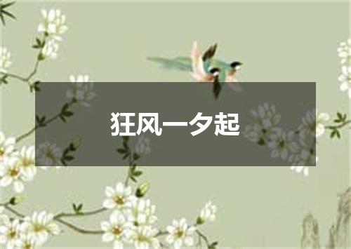 狂风一夕起
