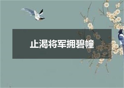 止渴将军拥碧幢