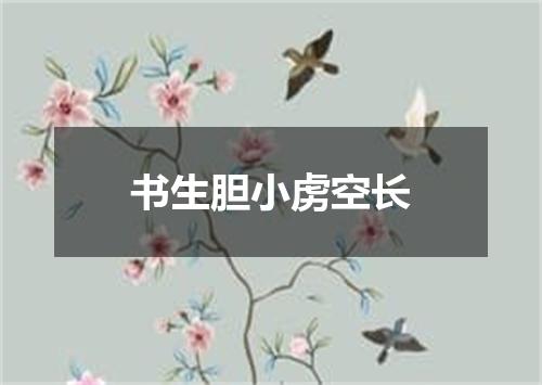 书生胆小虏空长