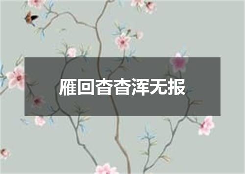 雁回杳杳浑无报