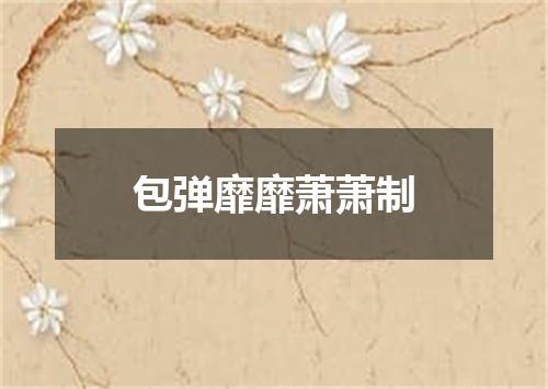 包弹靡靡萧萧制