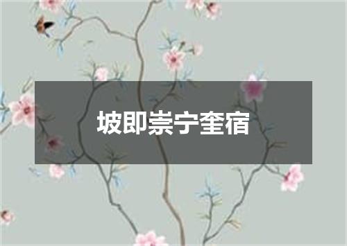 坡即崇宁奎宿