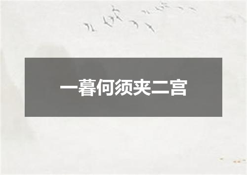 一暮何须夹二宫