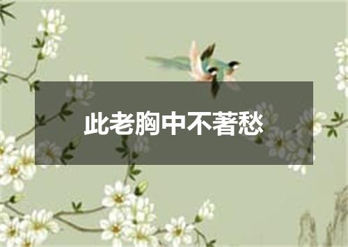 此老胸中不著愁